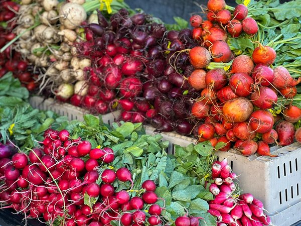 Mushee : votre nouvelle source de bien-être avec les champignons